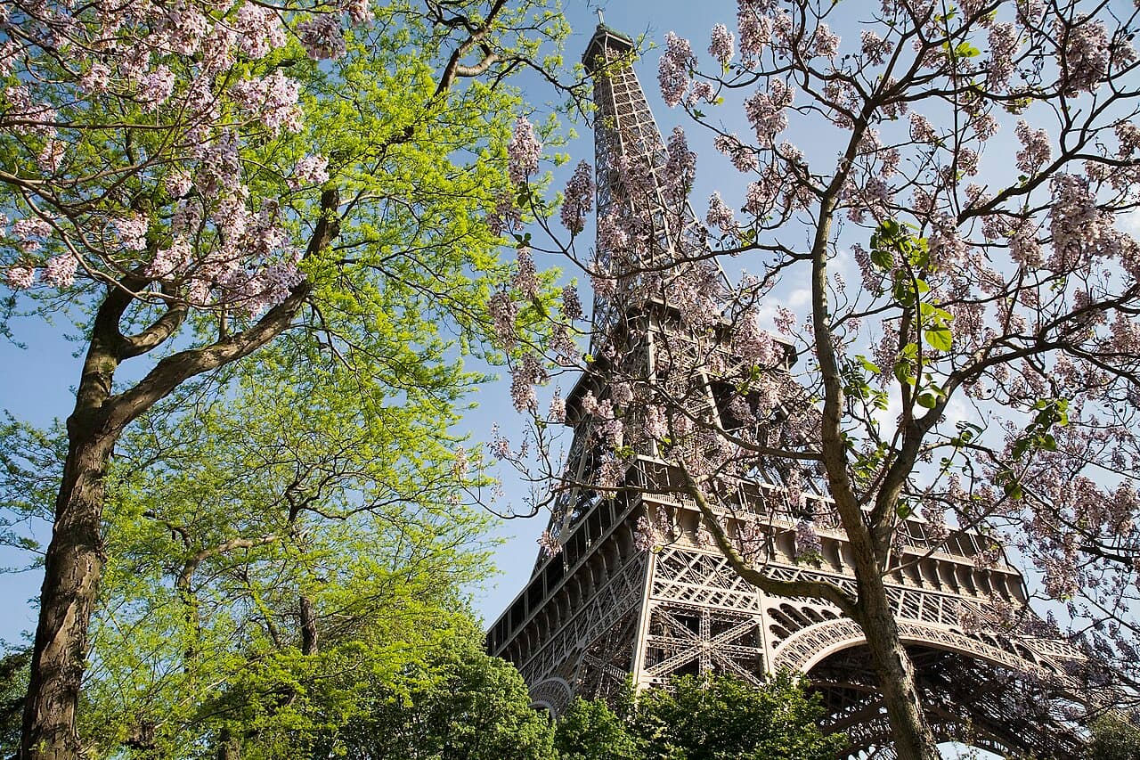 The Eiffel Tower, Paris